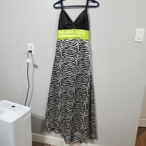 Floor Length Zebra Print Dress